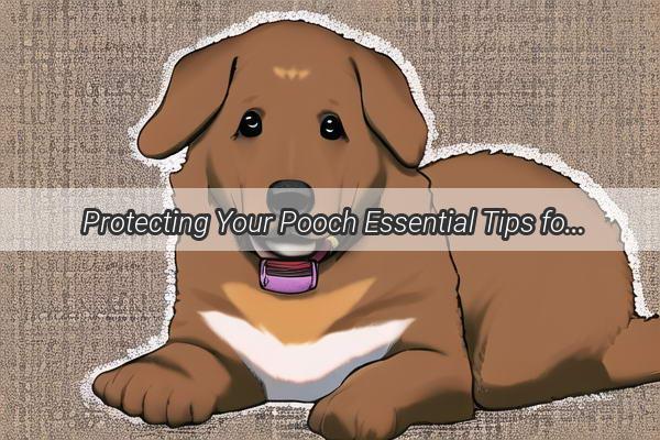  Protecting Your Pooch Essential Tips for Managing Dog Hernias